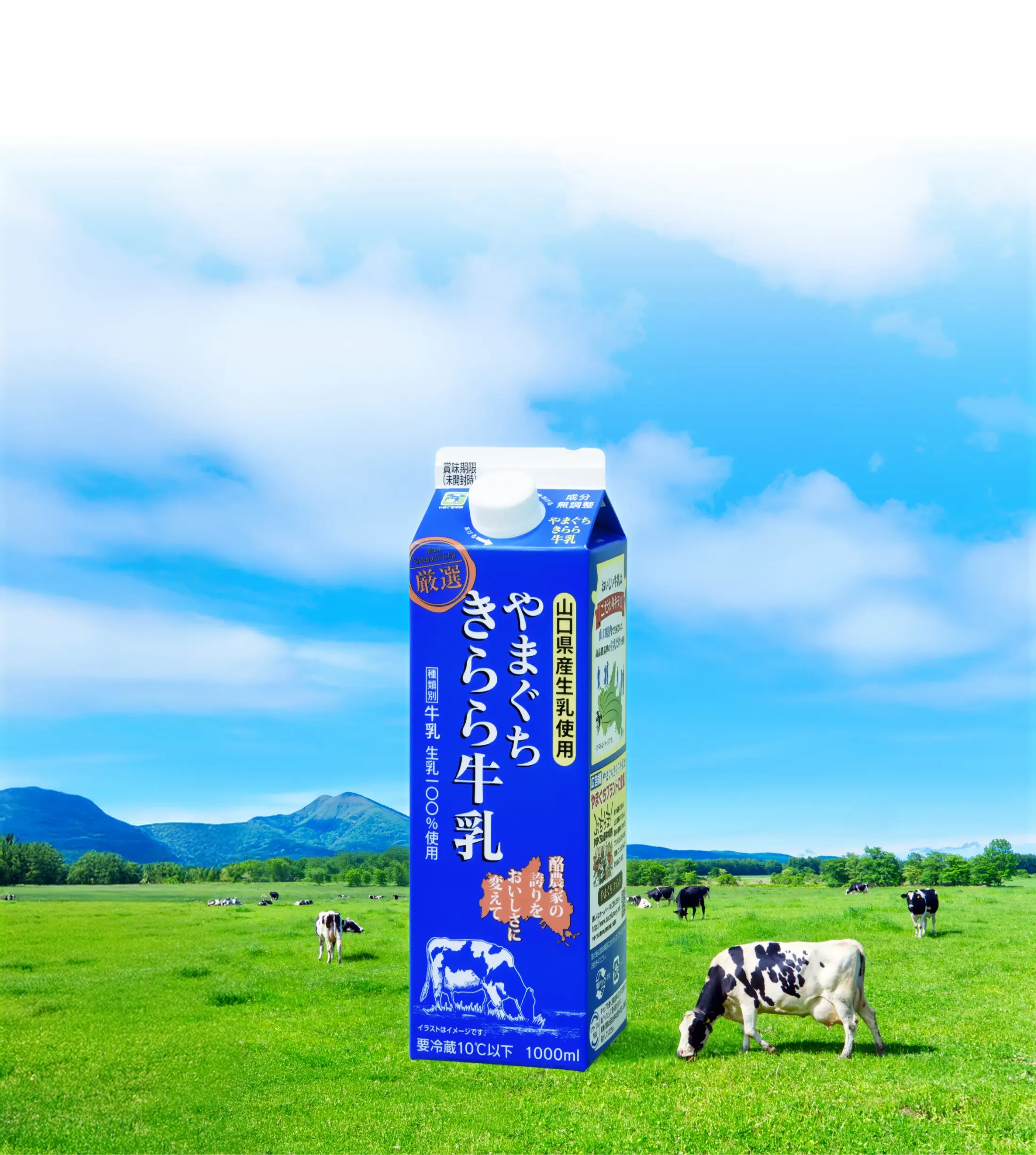 緑の牧場と数頭の牛を背景にしたきらら牛乳パッケージ画像