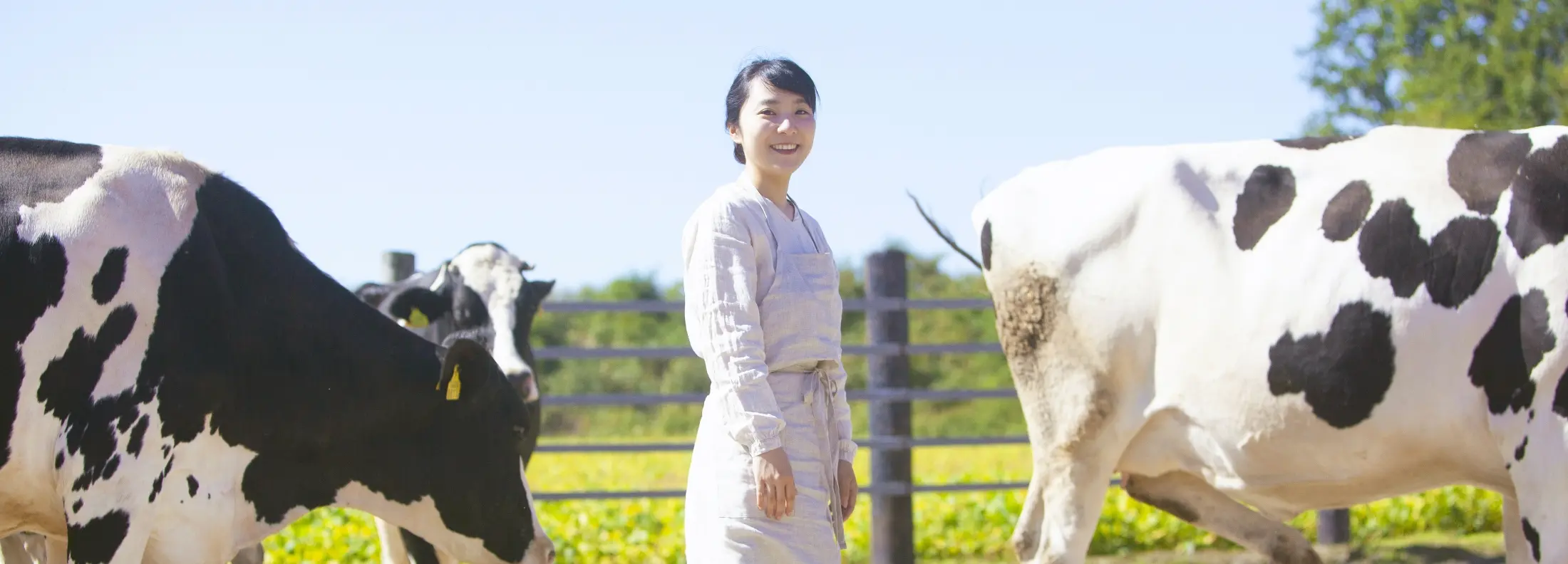 生産農家との共生 イメージ