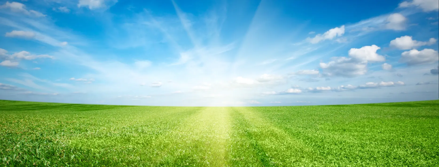 緑の草原の向こうから朝日が昇り、青空に光が広がっている風景